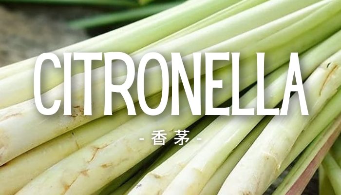 Citronella