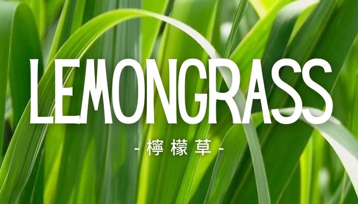 Lemongrass