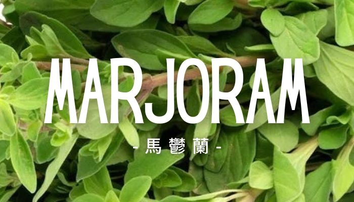 Marjoram