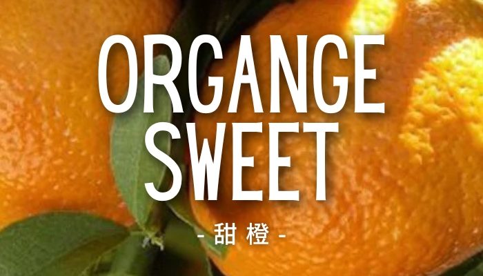 OrangeSweet