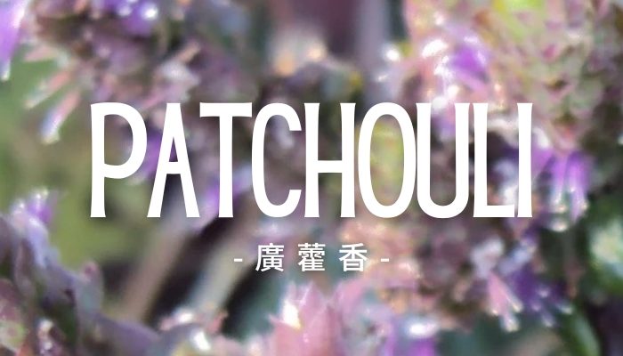Patchouli