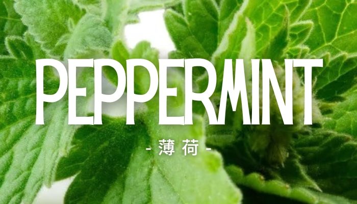 Peppermint
