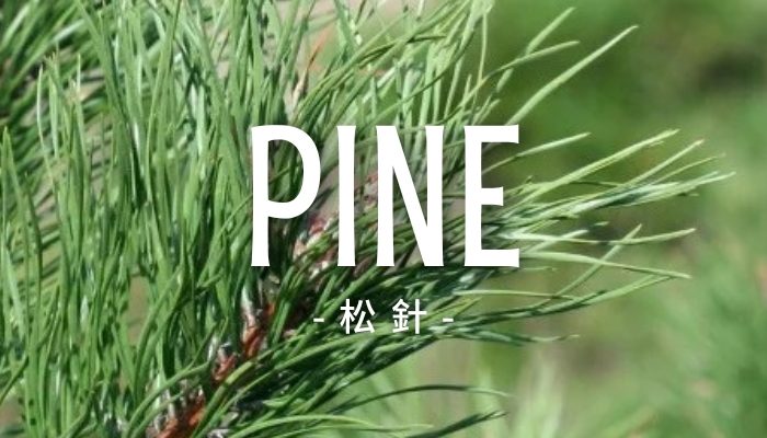 Pine