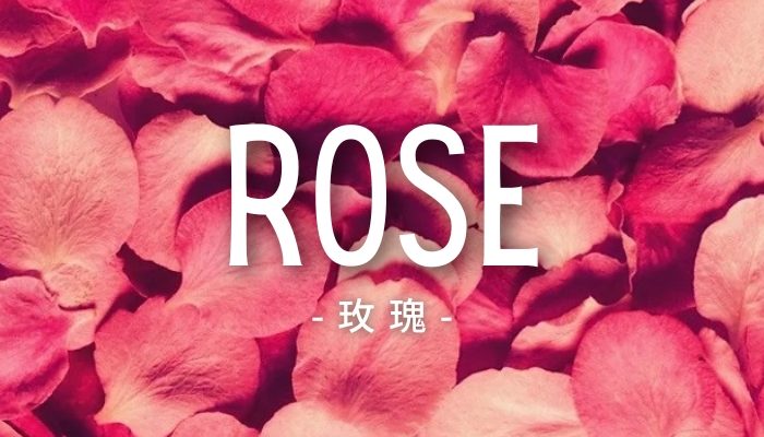Rose