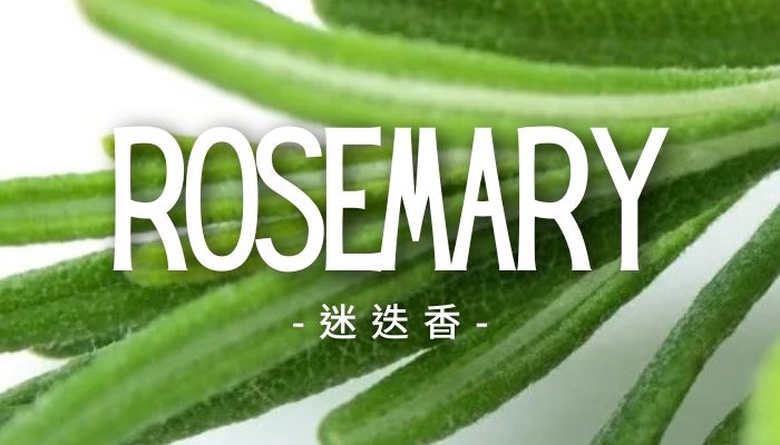 Rosemary