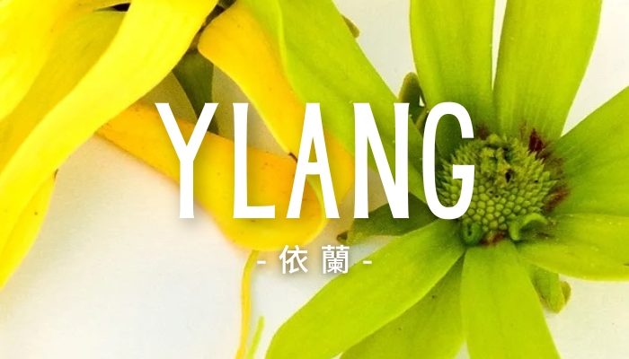 YLANG4